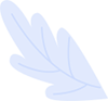 shape